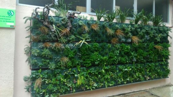 Hort urbà vertical a l’escola d’educació especial Nostra Senyora de Montserrat