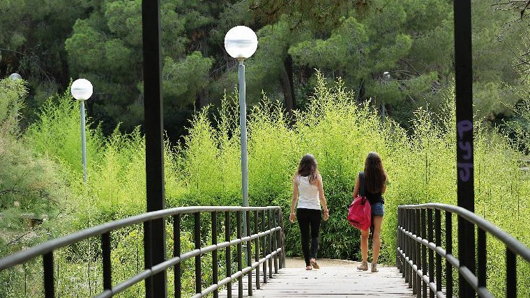 Parc de la Pegaso. Llibre 'Passejades per la Barcelona verda'. foto: Jordi Play