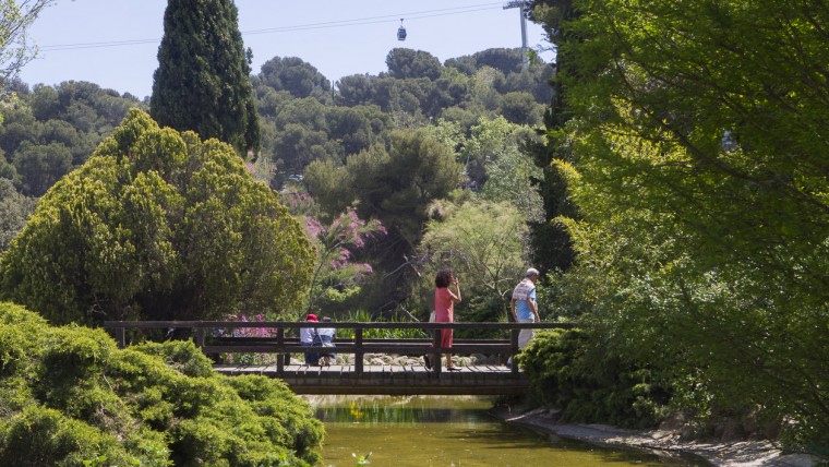 Jardins de Mossèn Cinto Verdaguer - Maig 2015