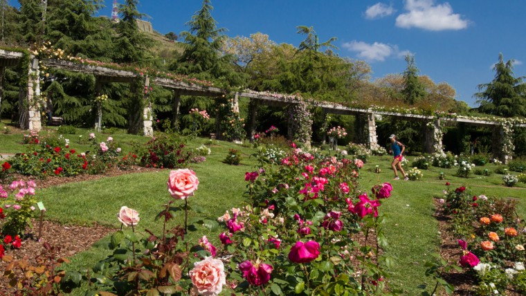 Parc de Cervantes - Maig 2015