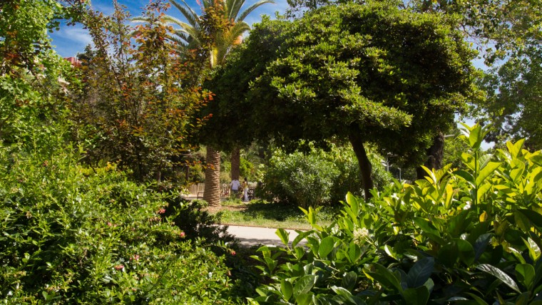 Parc de les Aigües - Maig 2015