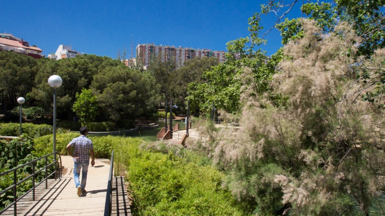 Parc de la Pegaso - Maig 2015