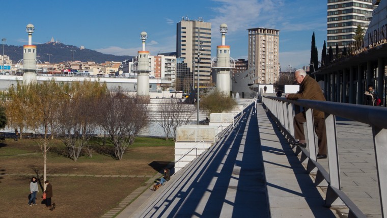 Parc de l'Espanya Industrial - Gener 2015