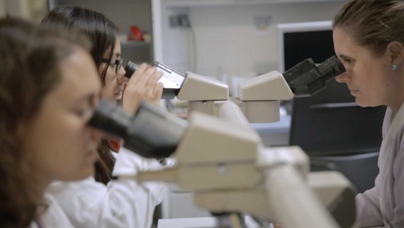 Campanya Imparables. Fundació Josep Carreras. Setmana de la Leucèmia. Laboratori. Microscopis. Ciència. Recerca.