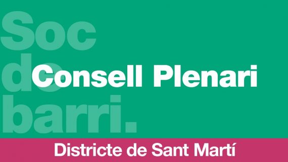 Consell-Plenari-Fb-1200x628