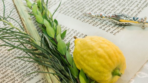 Torah parchment, the Hebrew, the Jewish holiday of Sukkot, the lulav, a special bouquet