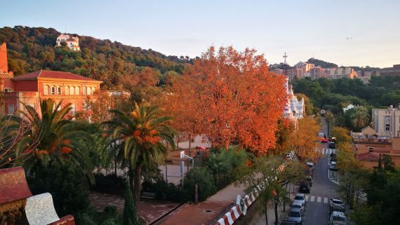 Entorns Park Güell