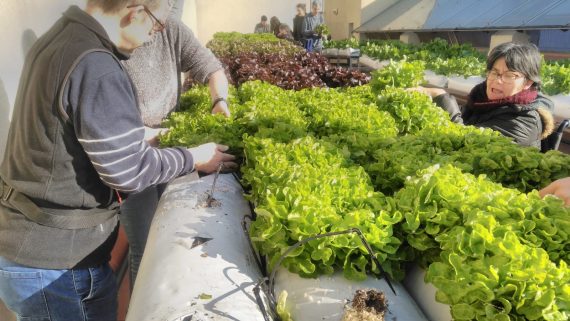 Persones treballant en l'Hort al Terrat del carrer Avinyó