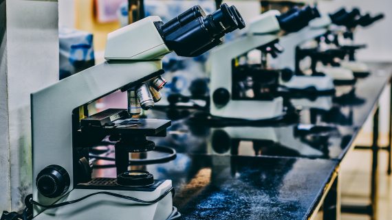Microscopis
