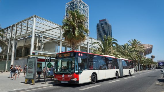 bus