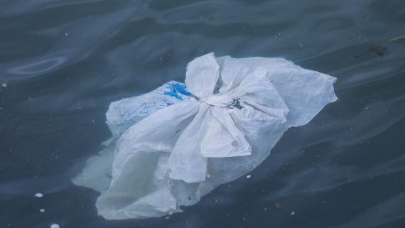 Foto: Brian Yurasits a Unsplash