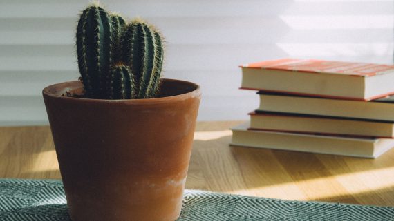 Foto: the Bialons a Unsplash