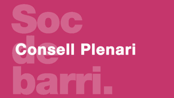 Banner-Consell-Plenari