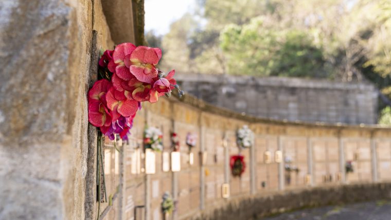 Coordinacion Municipal De Los Servicios Funerarios Durante La Crisis Sanitaria Info Barcelona Ayuntamiento De Barcelona