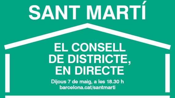 Ple Consell Districte TW FB