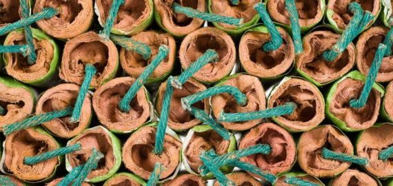 11893903 - a lot of stacked firecrackers with green fuse