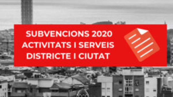 subvencions-300x300