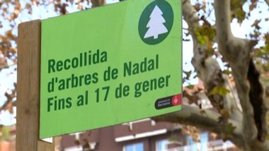 Senyal d'un punt de recollida d'avets