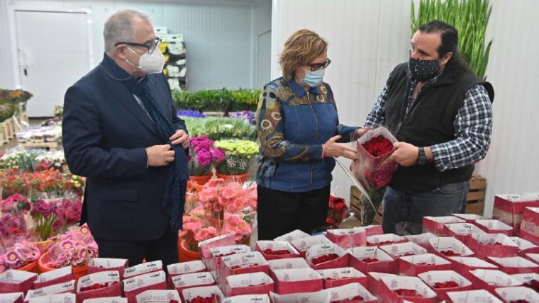 coser cazar álbum de recortes Las empresas de Mercabarna-Flor se preparan para Sant Jordi | Info Barcelona  | Ayuntamiento de Barcelona