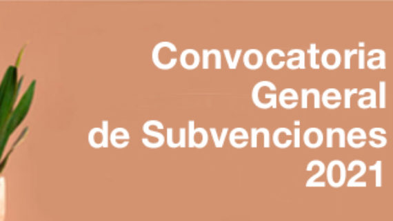 subvencions_esp_0