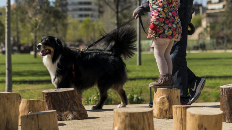 15 mejores PARQUES para PERROS en Barcelona