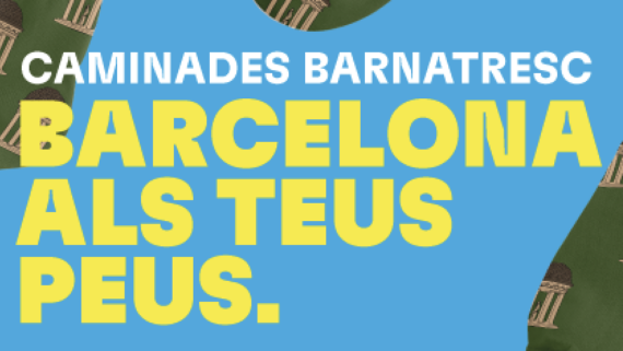 Descripció de la imatge