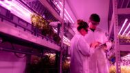 Imatge del Barcelona Tech Summit 2022
