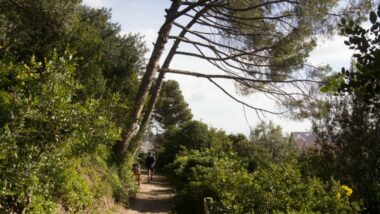 Parc Natural Collserola