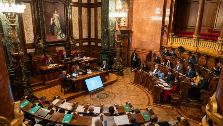 Ple del Consell Municipal del 29 de novembre de 2024