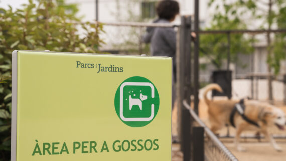 Àrea de gossos a la nova plaça de les Glòries