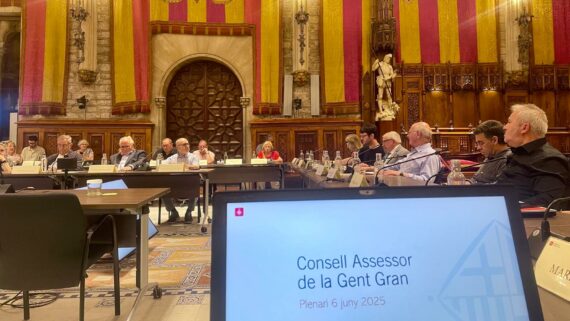 Plenari del Consell Assessor de la Gent Gran del 6 de juny del 2025