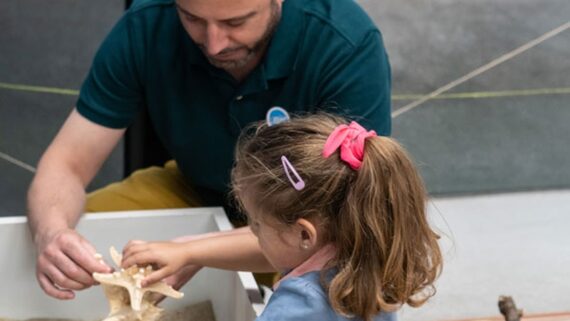 Activitat del Museu de Ciències Naturals