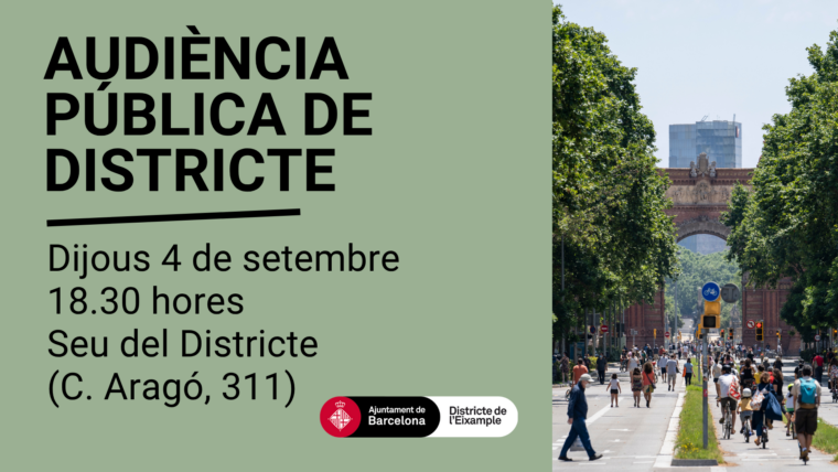 Cartell Audiència Pública