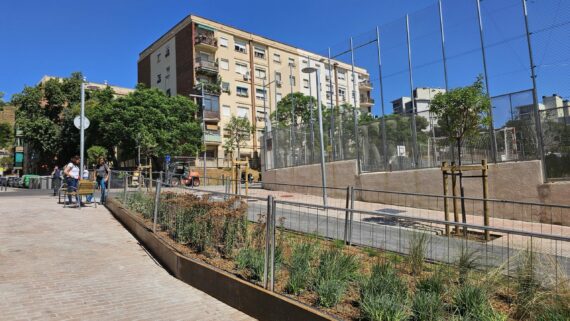 Carrer Pedrosa a la Trinitat Nova