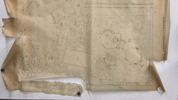 Plànol del Parc de la Ciutadella (abans de la intervenció), sense data. AMCB. Q150 Parcs i Jardins, 1024. P7.