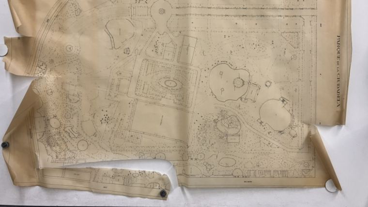 Plànol del Parc de la Ciutadella (abans de la intervenció), sense data. AMCB. Q150 Parcs i Jardins, 1024. P7.