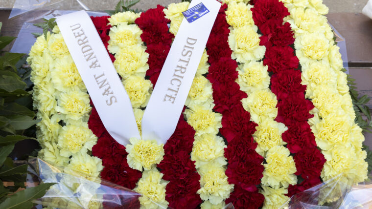 coixí de flors de la Diada