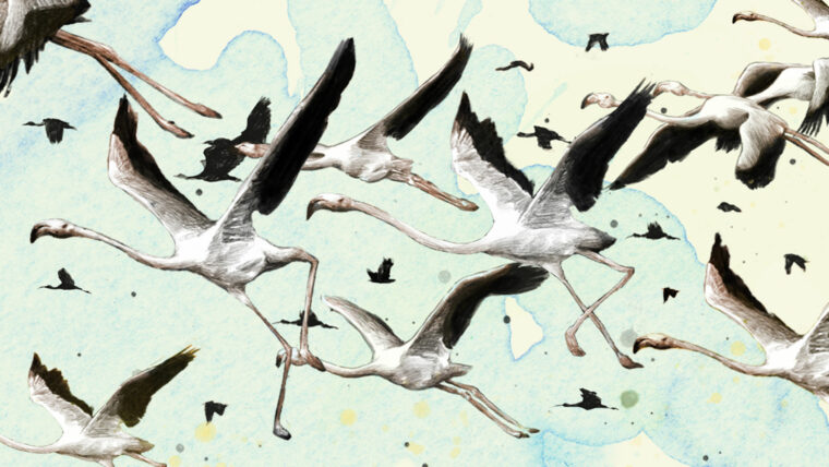 Tot Paisatge És Una Mentida