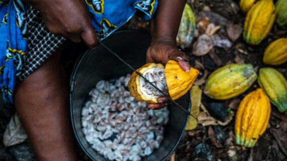 Dia Mundial Alimentació