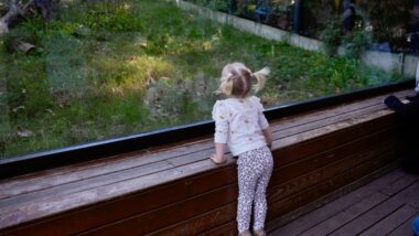 Nena observa animals al Zoo de Barcelona. Autora: Laura Guerrero.