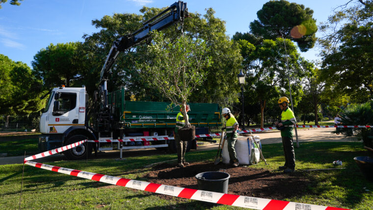 Treballadors de parcs i jardins planten verd