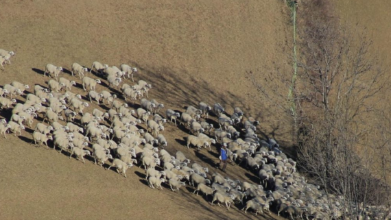 Associació de petits productors i elaboradors agroalimentaris del Montseny