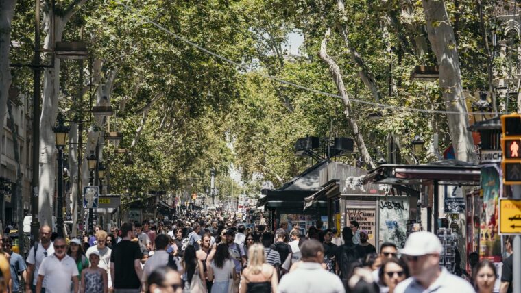 Ambient dels turistes i visitants de la Rambla amb les parades dels antics ocellaires. Es veu el semàfor que dona permís de pas a vianants i vehicles i que talla la Rambla