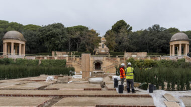 Plantació de xiprers al Laberint d&#039;Horta. Autora: Elena Pastor