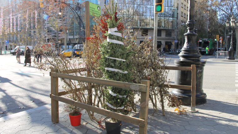 Punt de recollida d'avets a l'Eixample