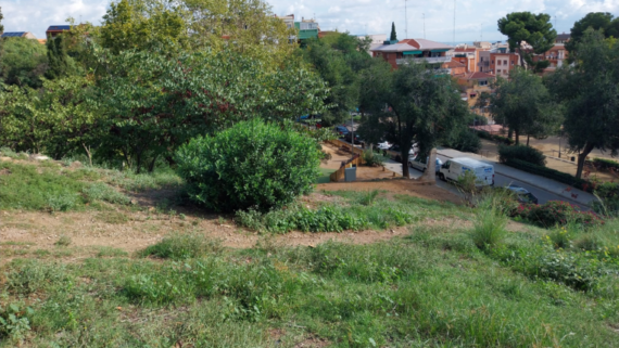 Entorns de la Font del Cuento, al parc del Guinardó