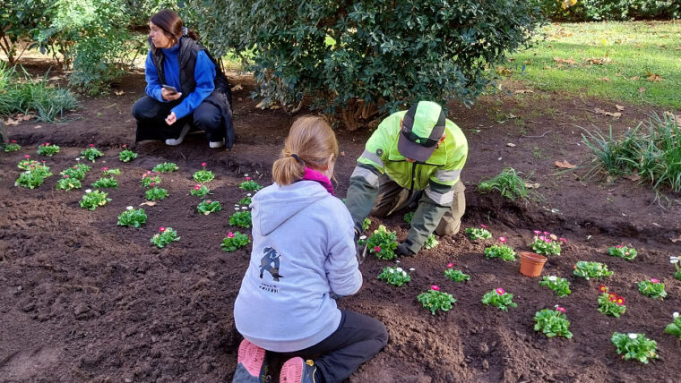 Procés de plantació de flors al passeig de Sant Joan