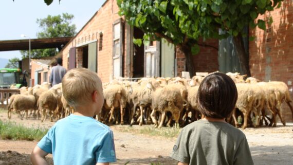 El teu comerç et porta a pagès