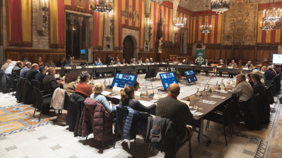 Plenari del Consell de Ciutat