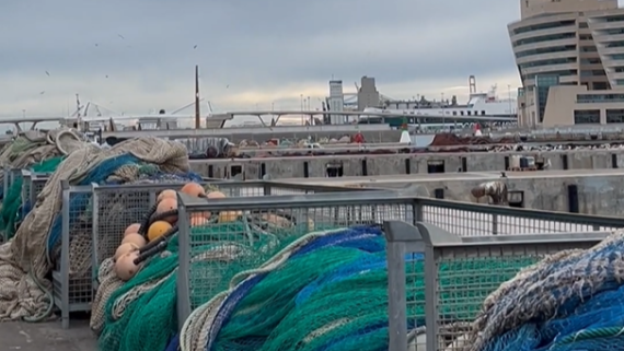 Només un 14% del peix que es consumeix a Catalunya és de proximitat, el qual representa un 20% del producte que es ven a les peixateries de Barcelona. FOTOS L’última sessió d’Agròpolis de l’any, organitzada en col·laboració amb la Confraria de Pescadors de Barcelona, l’Institut de Ciències del Mar (ICM) - CSIC, el Grup d'Acció Local Pesquera (GALP) de la Costa central i l’Ajuntament de Barcelona, es va centrar en la qüestió de la pesca sostenible, buscant generar debat i sinergies entre pescadors, peixaters, investigadors, educadors i agents culturals que treballen en aquest àmbit. Jose Manuel, Patró Major de la Confraria de Pescadors de Barcelona, va donar la benvinguda als assistents a l’equipament de la Confraria amb una intervenció sobre les dificultats d’aquesta per adaptar-se a les demandes de l’administració europea, si vol mantenir la pesca tradicional i poder viure’n dignament. Impulsem l’economia blava A l’inici de la sessió, es va presentar el Pla Litoral de Barcelona, el pla estratègic dels espais litorals de la ciutat que treballa en diferents eixos, com la maritimitat, la qualitat ambiental, la transformació urbana i l’economia blava. En aquesta línia, s’ha impulsat l’Observatori de l’Economia Blava de Barcelona de la mà de la Universitat de Barcelona i el Port de Barcelona per treballar en una sèrie de mesures perquè l’economia marítima sigui cada vegada més sostenible. Pesca i consum de peix a Catalunya La sessió va comptar amb una introducció sobre la situació actual de la pesca i el consum de peix a Barcelona a càrrec de Miquel Ortega, investigador postdoctoral a l’ICM. Les dades més recents indiquen que el consum de peix per càpita a Catalunya és d’uns 23 kg a l’any, una disminució respecte a anys anteriors. Així i tot, continua sent un dels més alts d’Europa i es manté dins el consum recomanat de peix en la dieta mediterrània. Aquest consum és ecològicament incompatible amb la pesca sostenible, ja que actualment només un 14% del peix que es consumeix a Catalunya és d’origen local. A les peixateries, el peix de proximitat només representa un 20% de les vendes. Un altre repte per a la pesca catalana és el relleu generacional. A Catalunya només hi ha 1.500 pescadors, que no representen ni el 2% de la població activa. És possible un consum sostenible de peix a Barcelona? Aquestes dades es van posar a debat en una taula rodona amb representants dels diferents agents del sector: Francesc Leyva, secretari general de la Federació de Mercats Municipals de Barcelona i membre de la Junta Directiva del Gremi de Peixaters; Cristina Caparrós, vicepresidenta de l’Associació Catalana de Dones de la Mar, armadora del Nus a la Barceloneta i responsable dels projectes Cap a la Mar i La Platjeta; Puri Canals, directora de relacions institucionals a Underwater Gardens i coordinadora de projectes transatlàntics de la Unió Europea sobre àrees marines protegides; i Marina Monsonís, directora de La Cuina del MACBA i artista visual que connecta la cuina amb aspectes socials i polítics. Davant les dades sobre el consum de peix de proximitat, Marina Monsonís va posar sobre la taula la possibilitat de diversificar el consum segons la producció autòctona del territori: “si no hi ha peix per menjar-ne tres dies a la setmana, podem reduir-lo a un dia i buscar la proteïna en altres aliments com llegums”. Malgrat que la sobirania alimentària a Barcelona sembli una utopia, totes les presents van destacar que per avançar en aquest tema és indispensable una implicació major per part de les institucions educatives per revertir la desinformació alimentària de les generacions més joves. Les intervencions de pescadors, peixateres i docents entre el públic també van generar debat sobre la qüestió del relleu generacional i la formació. Cristina Caparrós va matisar que, malgrat que és important engrescar als joves, també ho és dignificar el treball i formar les generacions que porten tota una vida pescant. Així mateix, Francesc Leyva va apuntar que a les peixateries també es troben amb una situació similar i cal treballar perquè la professió no suposi un sacrifici personal. Sobre la compatibilitat entre turisme i cura del medi ambient, es va subratllar que “el tipus de turisme que tenim no ens està aportant cap aspecte positiu en el tema climàtic”. En aquesta línia, Puri Canals va afegir que, sovint el problema es troba en voler “resoldre els problemes des del mateix plantejament fragmentat que els va causar”. Necessites finançament per un projecte? Per concloure la sessió, Xavier Socias, gerent del GALP Costa Central va presentar els ajuts del Fons Europeu de Pesca i Aqüicultura (FEMPA), que actualment tenen una convocatòria oberta fins a 2028. Des dels cinc GALPS catalans, es canalitzen els ajuts segons sis objectius estratègics per donar suport a projectes relacionats amb la pesca sostenible i local, tant pesquers, com educatius, culturals o d’acció local. Més informació sobre la convocatòria vigent aquí. Més informació Agròpolis Ajuts FEMPA - GALP Costa Central